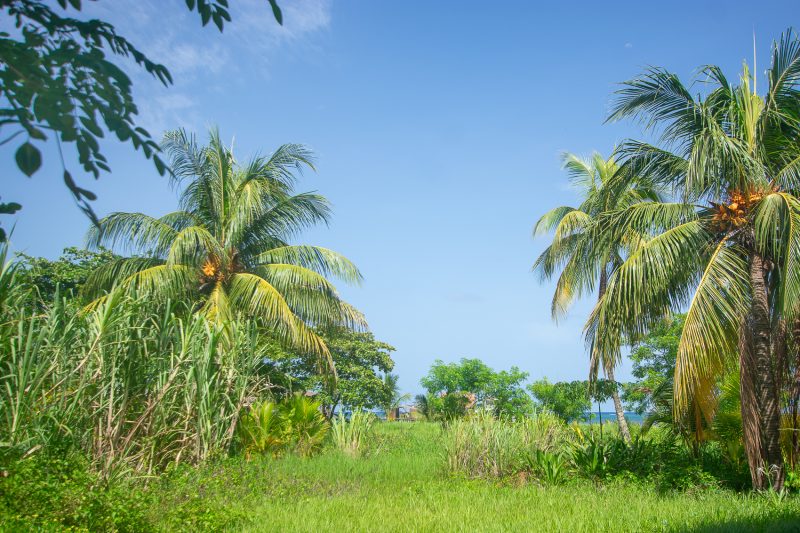 2.55 Acre Development Property Sandy Bay, Roatan. 2.55 Acre Development Property Sandy Bay, Roatan.