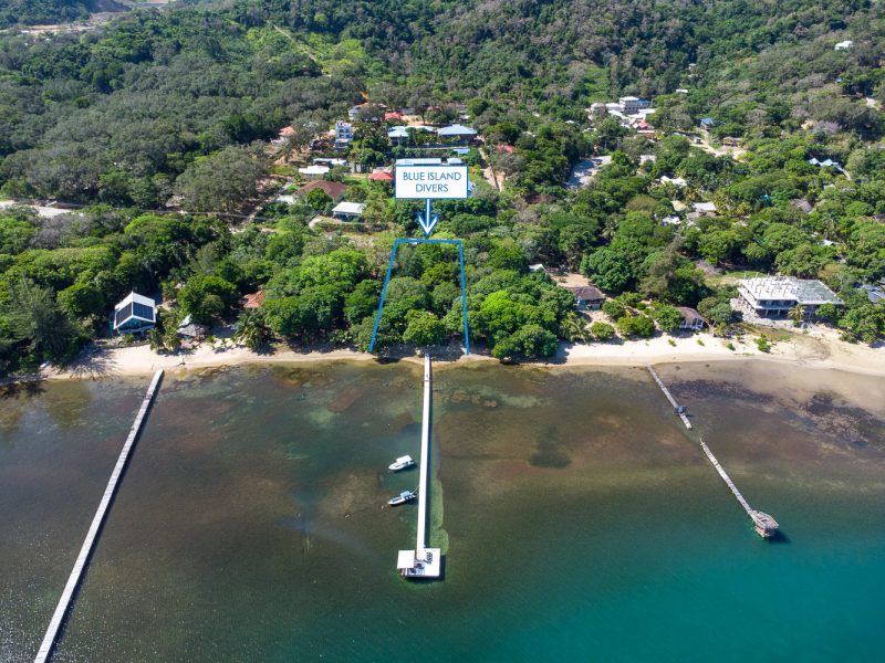 Blue Island Divers Resort Sandy Bay, Roatan. Blue Island Divers Resort Sandy Bay, Roatan.