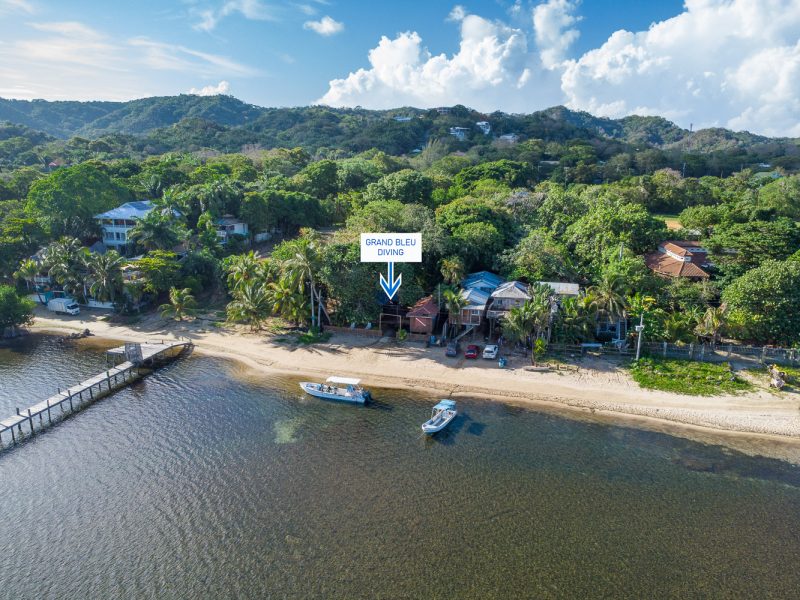 Grand Bleu Diving Resort Sandy Bay, Roatan. Grand Bleu Diving Resort Sandy Bay, Roatan.